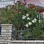 Tonimir Apartment Vodice