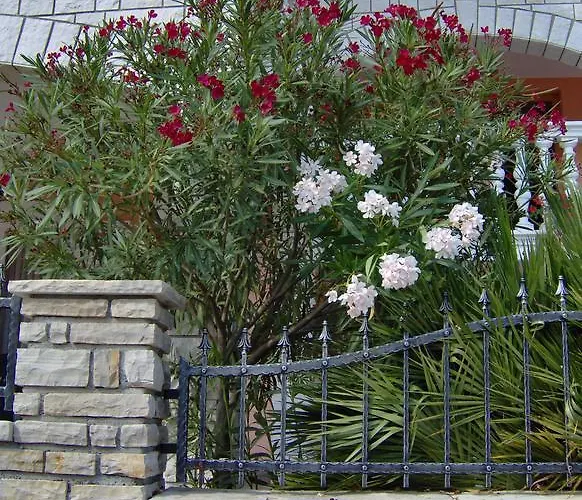 Tonimir Appartamento Vodice